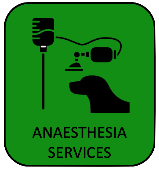 Icon of a dog and anaesthetic mask representing anaesthesia services at this vets